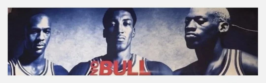 未開封 Nike Jordan Pippen Rodman NO BULL