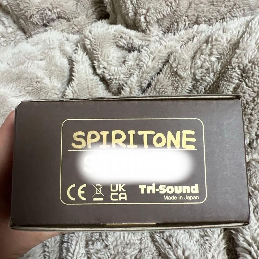 【美品】VEMURAM spiritone char氏signature