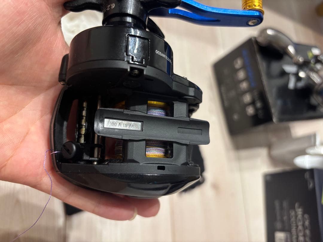 2月1日の昼までAbuGarcia OCEANFIELD BG左巻き