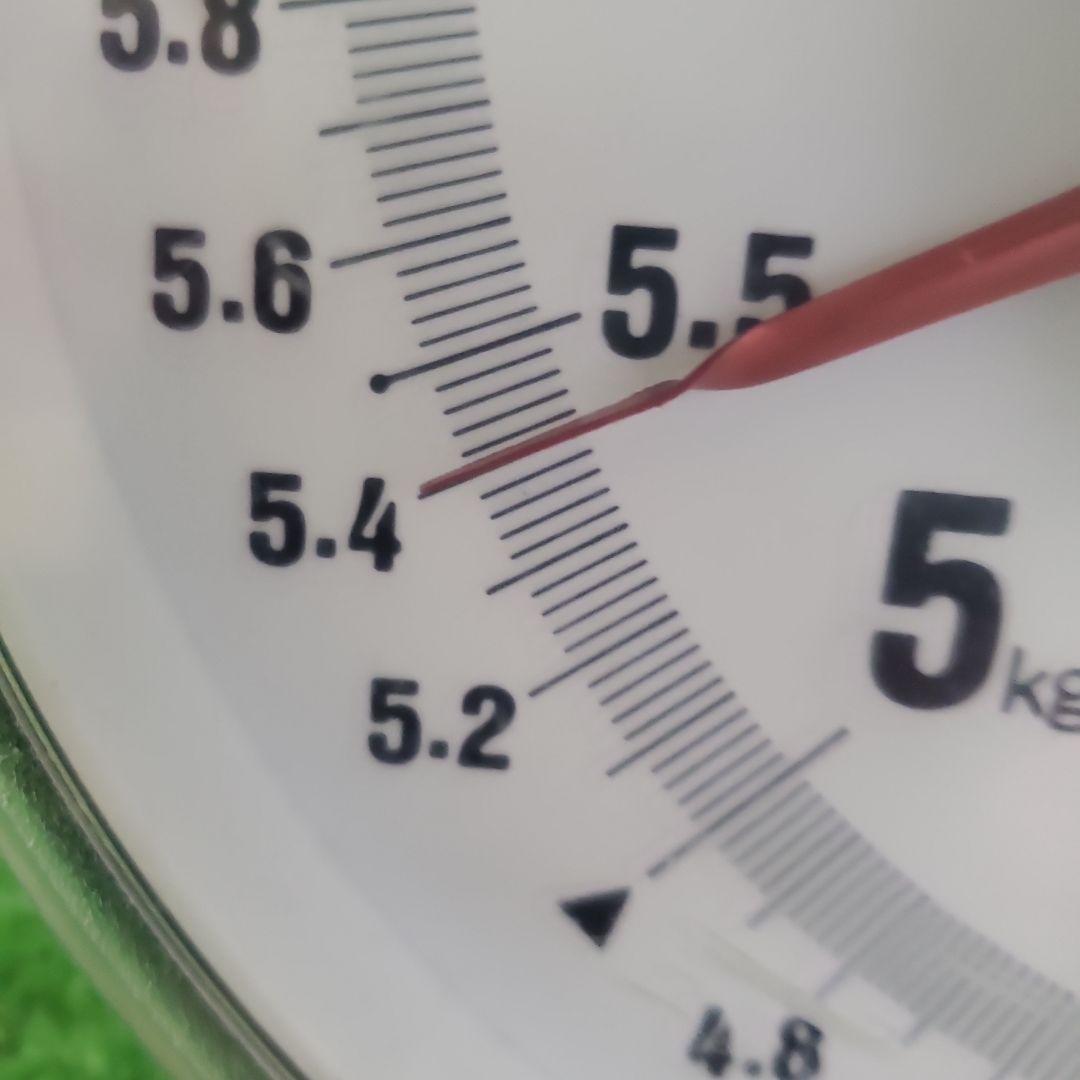 2️⃣ 山梨県産 シャインマスカット １２房 箱込み5.5キロ