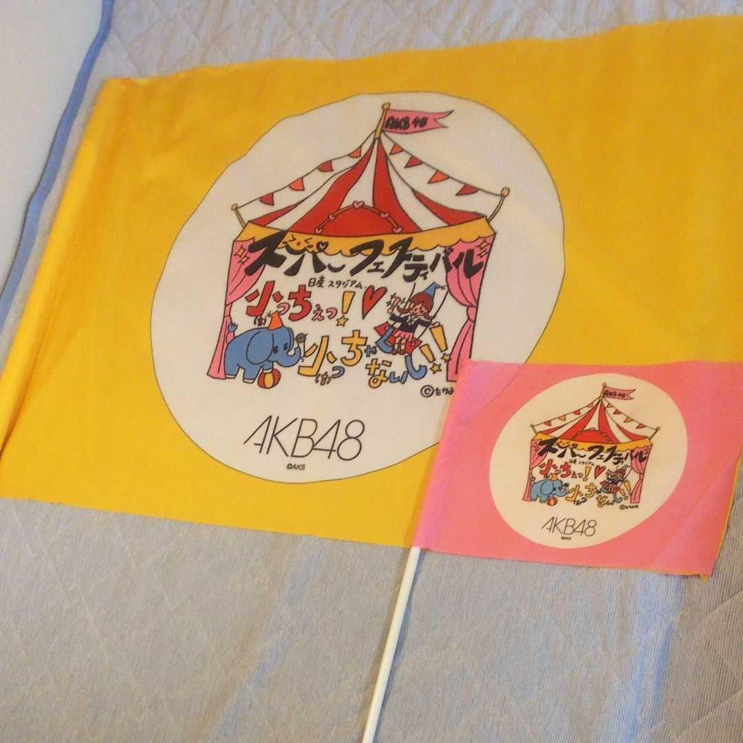 AKB48 日産スタジアム コンサート オープニングメンバー使用フラッグ 希少