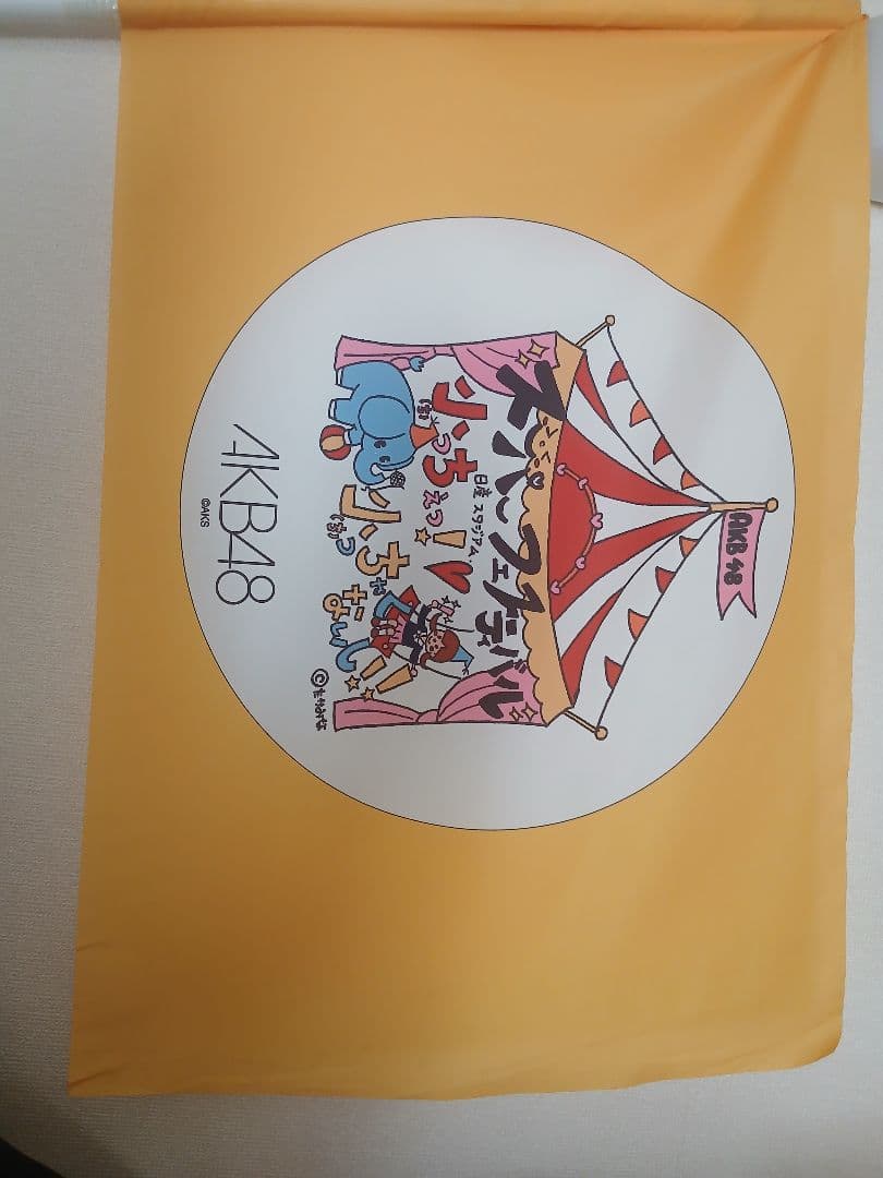 AKB48 日産スタジアム コンサート オープニングメンバー使用フラッグ 希少