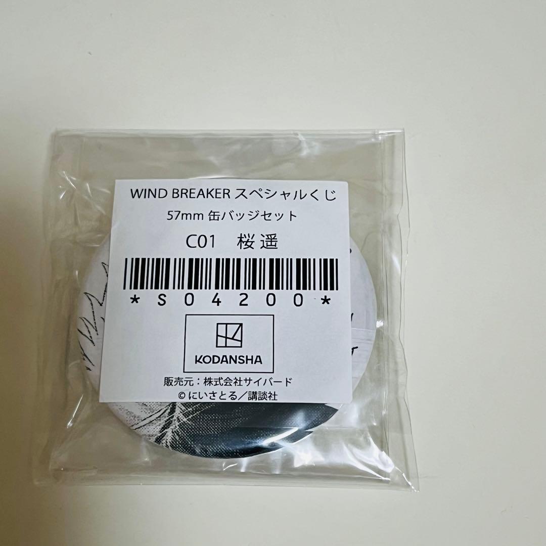 希少 windbreaker ウィンドブレーカー ウィンブレ 缶バッジ