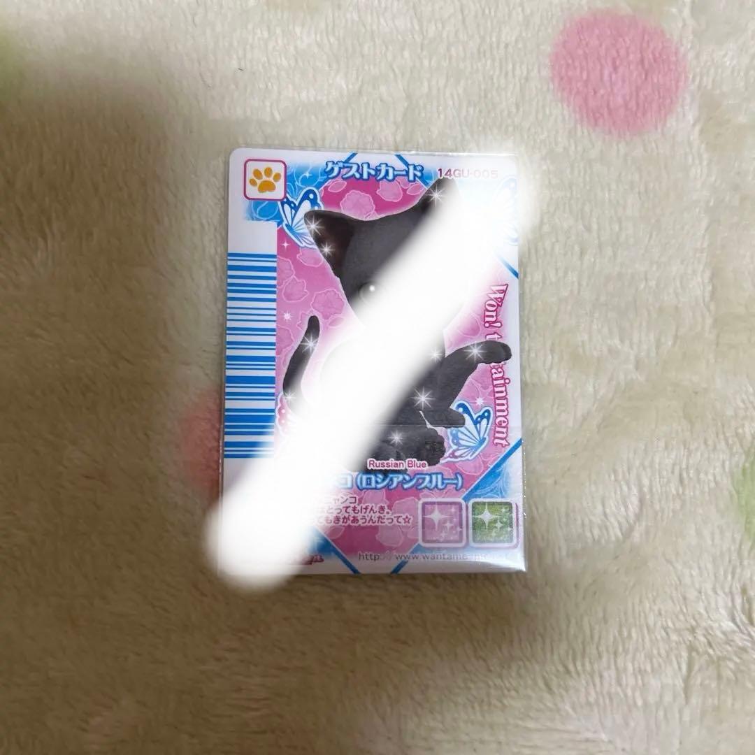 期間限定大幅値下げワンタメカード　ゲストカードネコ裏表カード