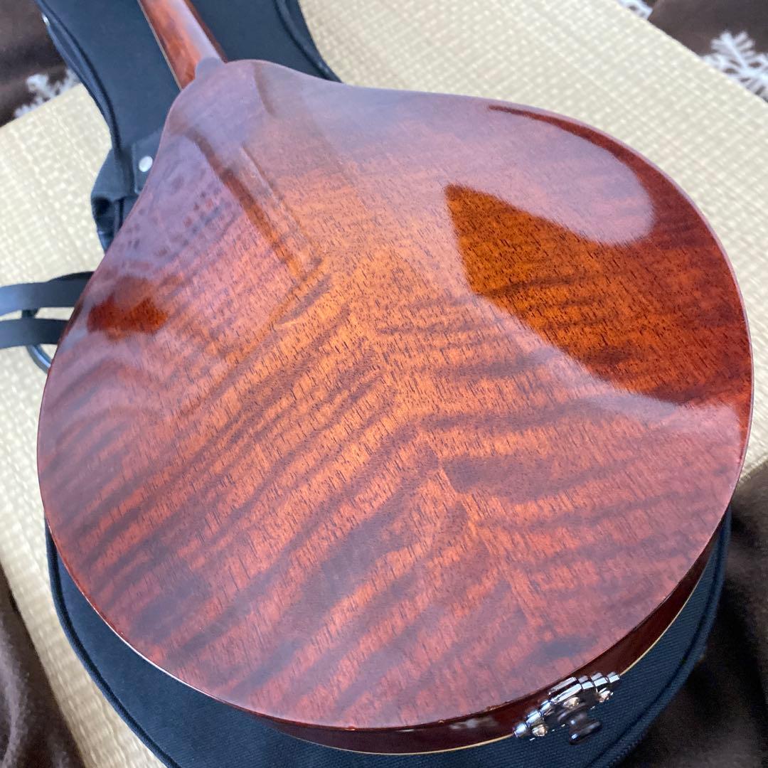 Eastman MD-505/A.Red フラットマンドリン メンテナンス前提で