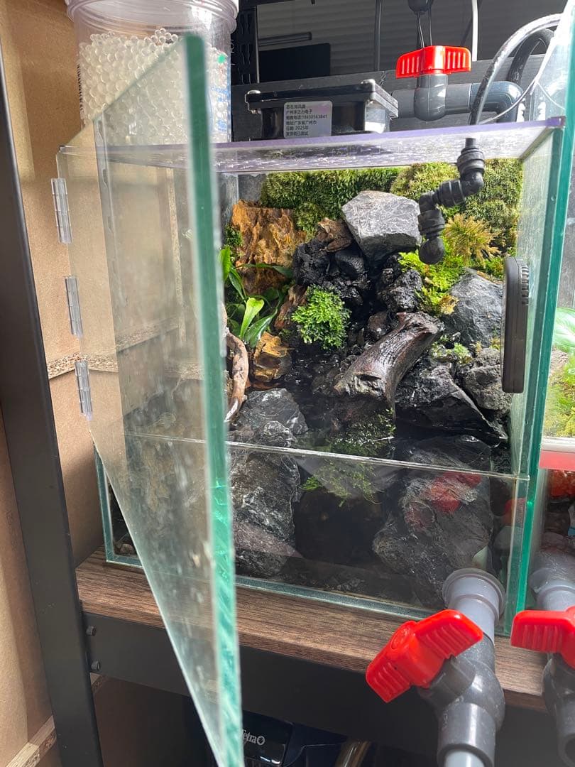 【受注生産】 滝と渓流のアクアテラリウム　30センチ水槽