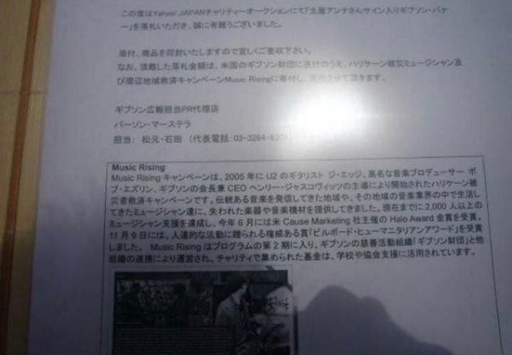 超レア土屋アンナギブソンGibson直筆サイン