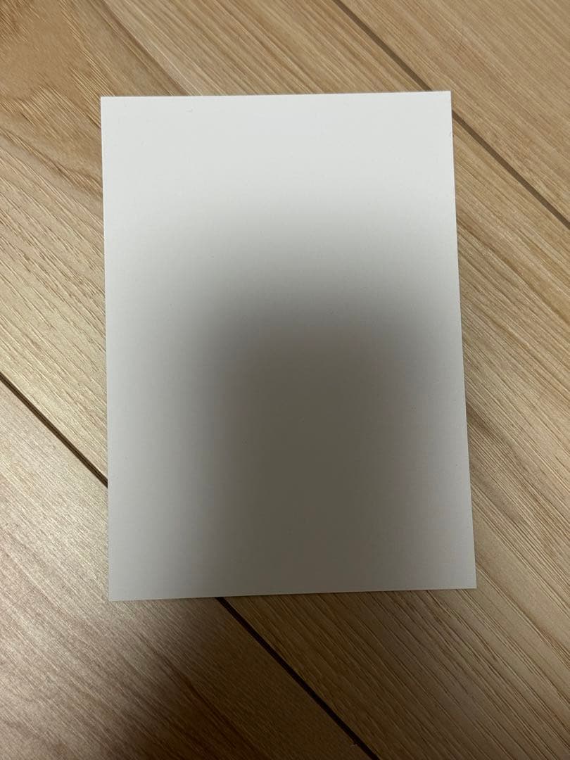 羅小黒戦記2　甲乙舞台挨拶特典