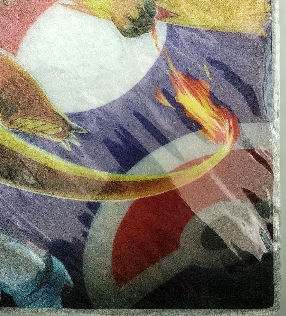 【激レア】下敷き ポケモンセンター 有田満弘 リザードン バシャーモ フライゴン