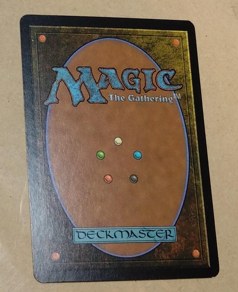 MTG【Foil】SCG ワイアウッドの共生虫Wirewood Symbiote