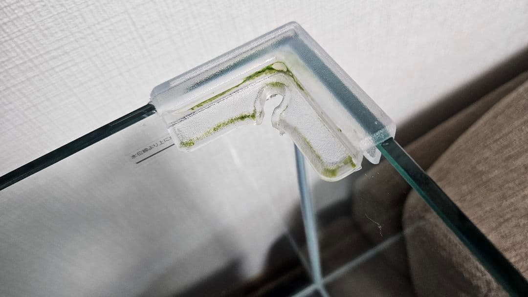 60cm曲げガラス水槽