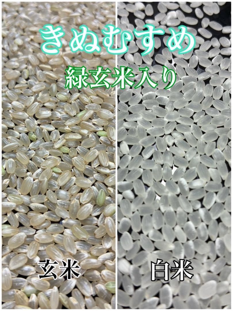 新米 令和7年産 きぬむすめ 玄米30キロ 淡路島産 精米小分け可　　30kg