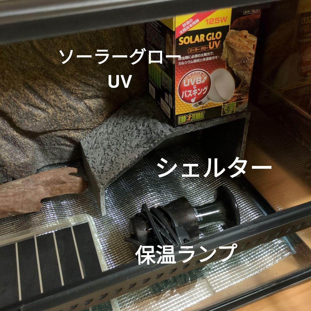 furuさま専用　ガラステラリウム 9045 備品一式つき