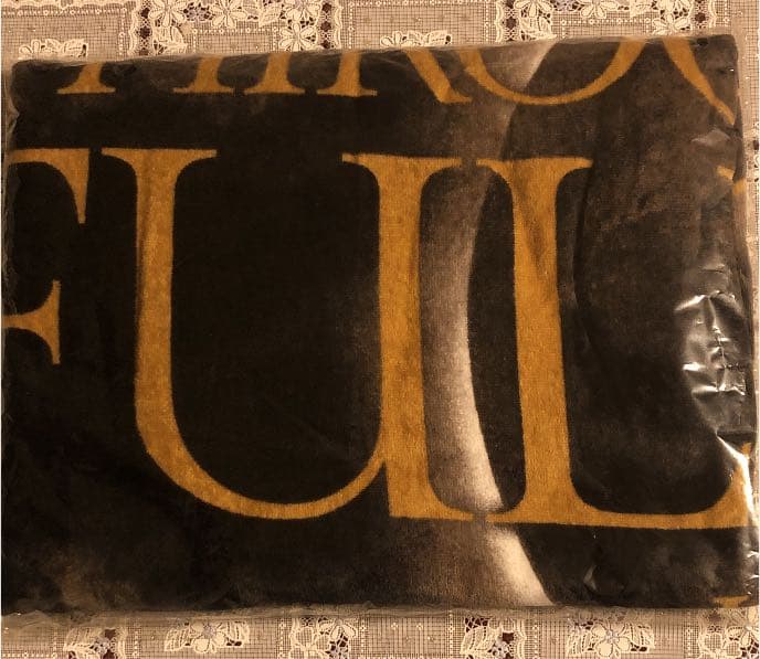 登坂広臣　LIVE tour2018 ビーチタオル　値下げ❕