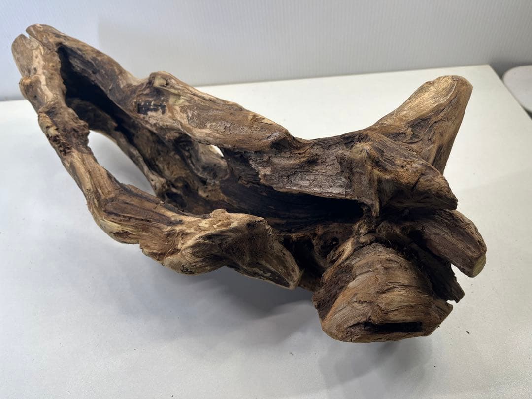 R63アク抜き済み流木 爬虫類シェルター 登り木 インテリア 生け花