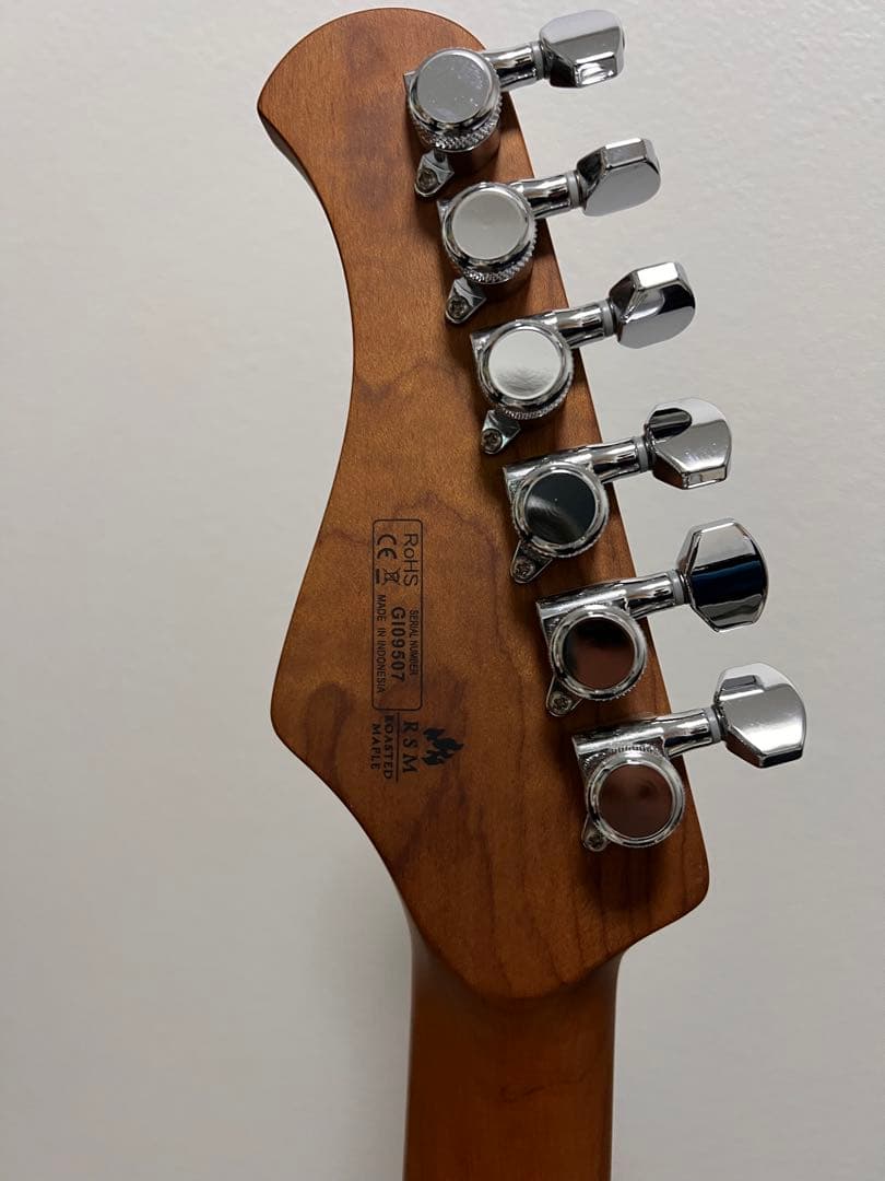 バッカス　BSH-850 /RSM S-SW 最終値下げ！