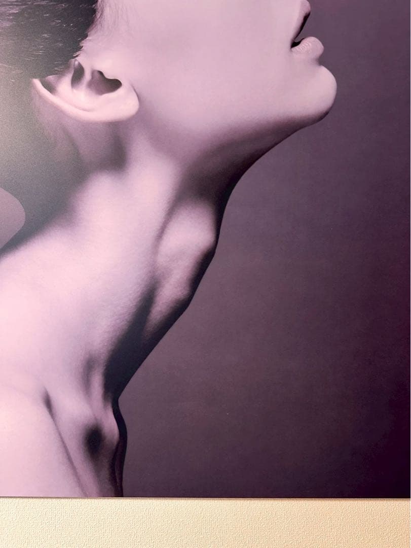 BoConcept (ボーコンセプト) アートパネル メタルプリント