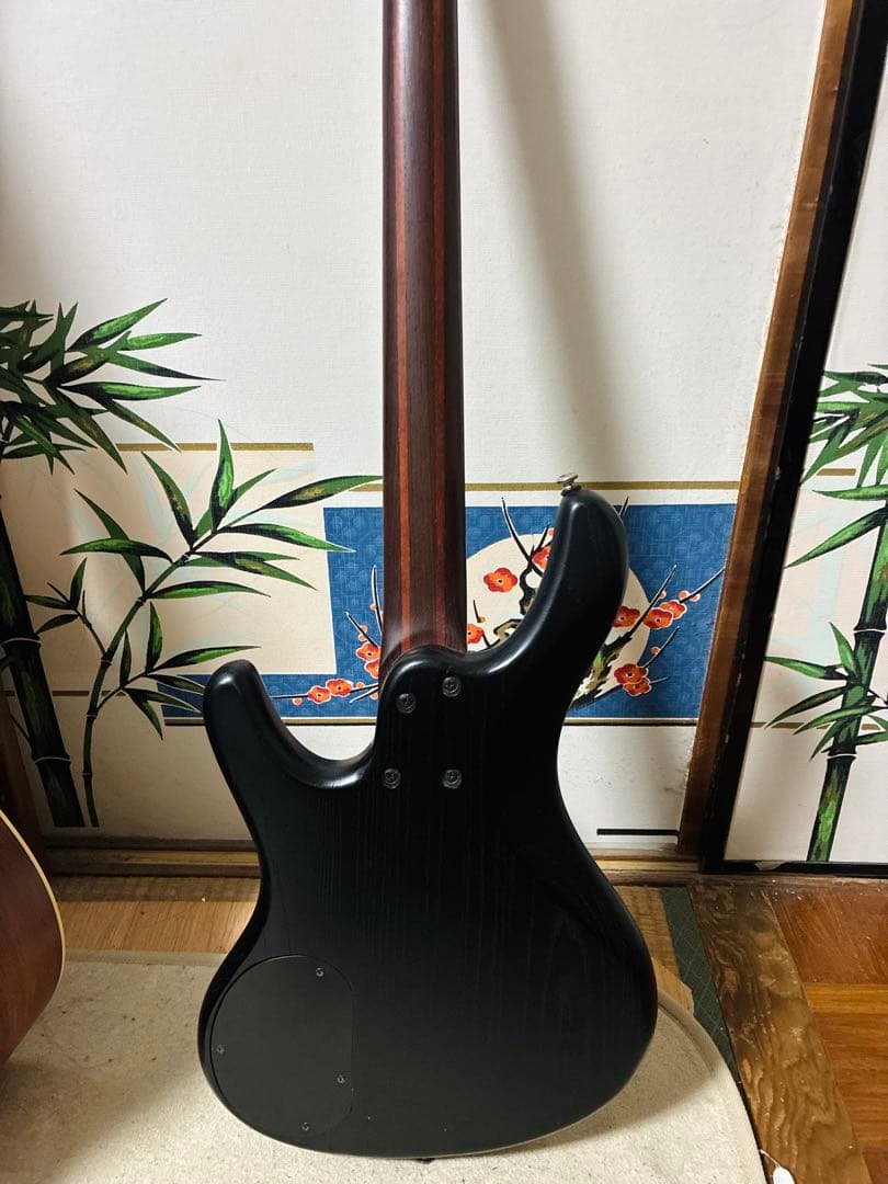 【希少】Ibanez EDB550 Black ソフトケース付き