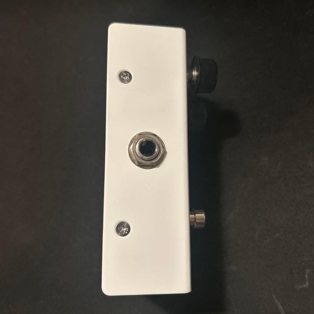 ギター VIRTUES MONICA ASSH SIGNATURE