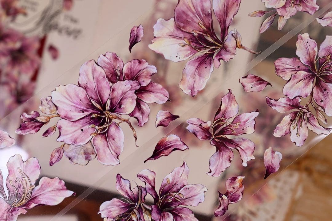 ⭐️SALE⭐️小白家文創《紫荆花》海外マスキングテープ　マステ 【2511】