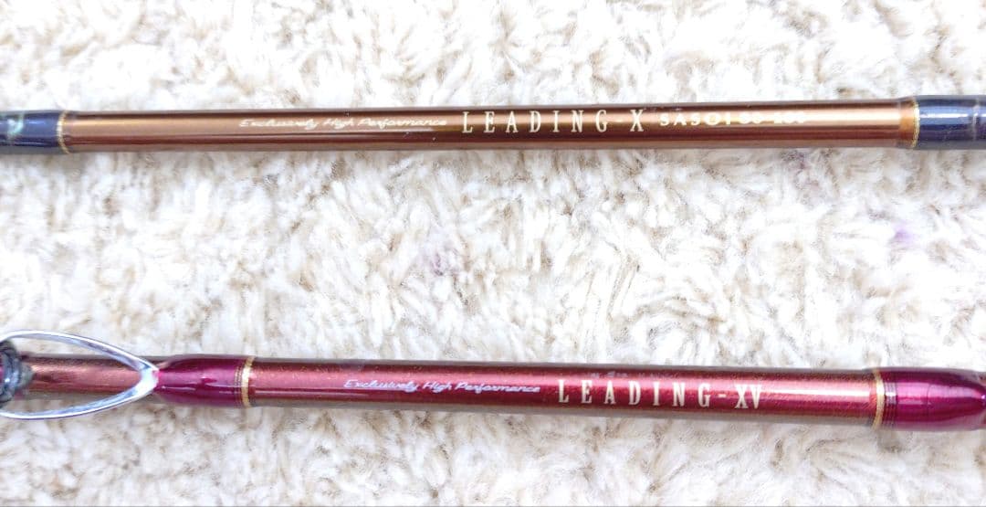 【Daiwa】LEADING 2本