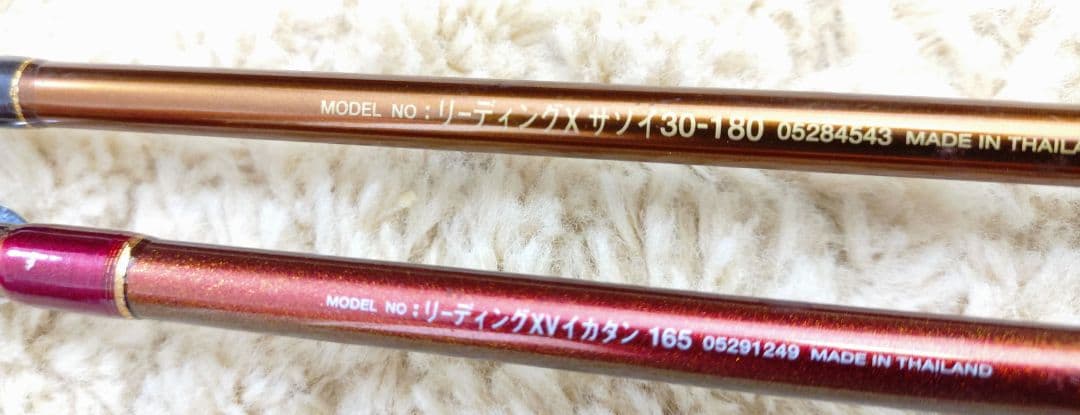 【Daiwa】LEADING 2本