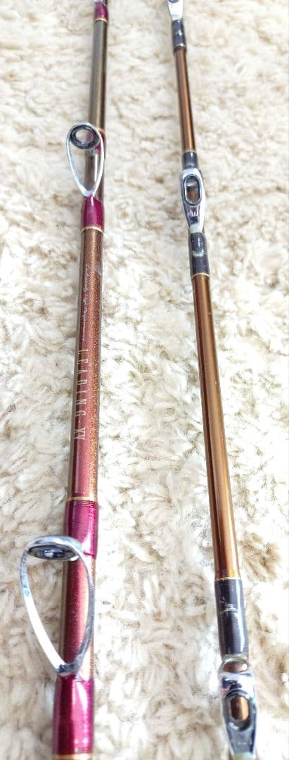 【Daiwa】LEADING 2本