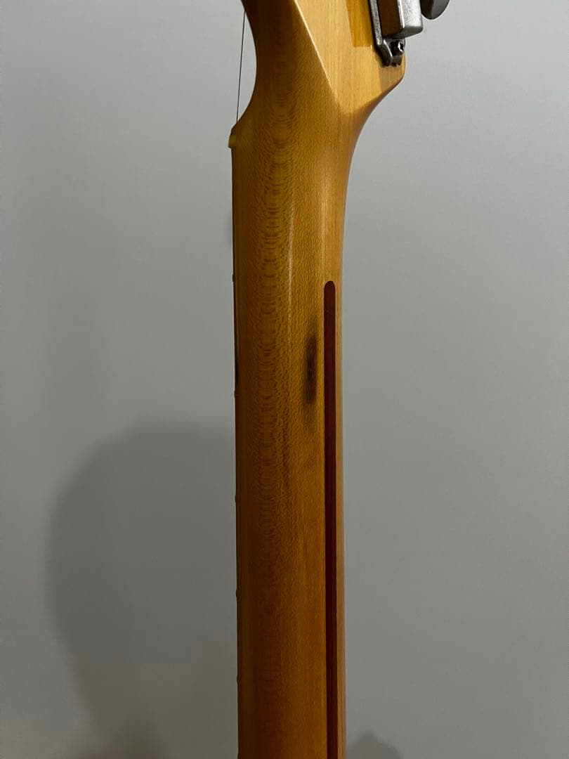 Fujigen(FGN)　Neo classic ストラトキャスター（SSH）