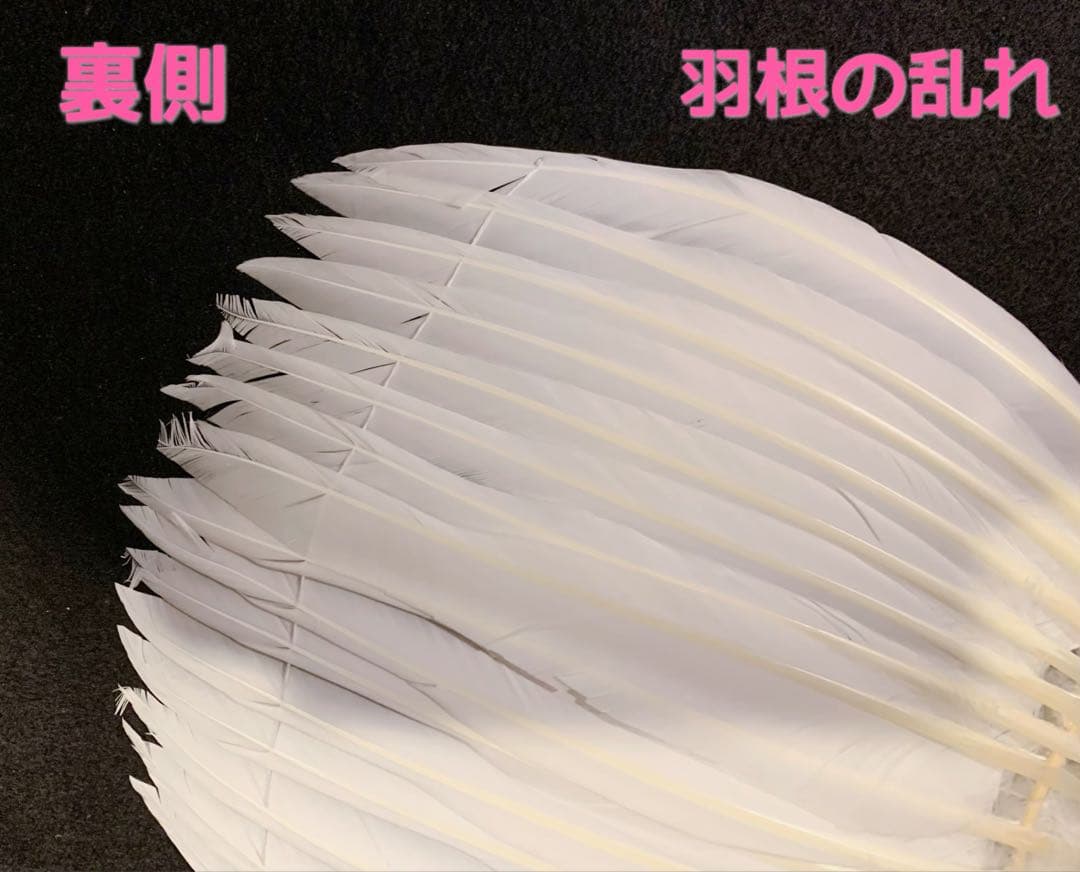 ✧︎中国お土産シリーズ✧︎ネコさん注意✧︎三国志、歴史好きな方に 諸葛亮 孔明扇③