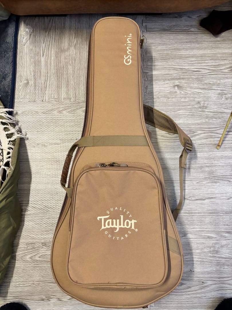 Taylor gs mini エレアコ
