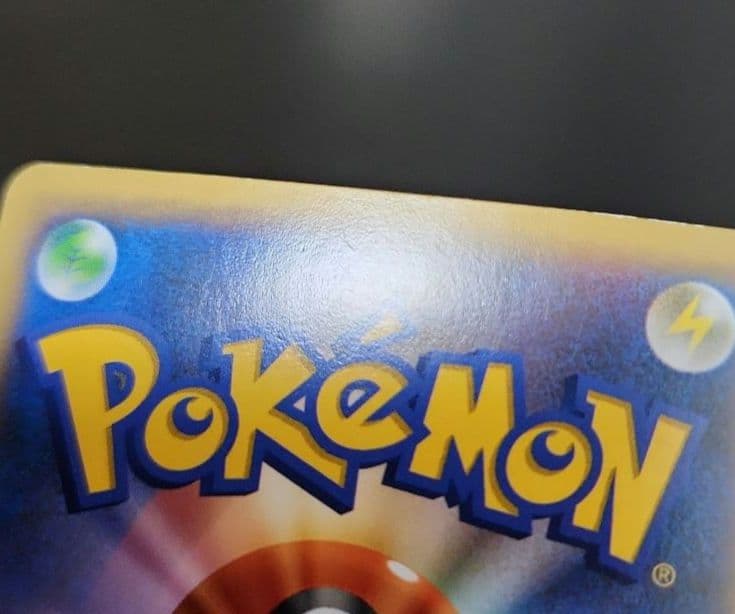 ポケモンカード　フシギバナEX SR・カメックスEX SR　XY