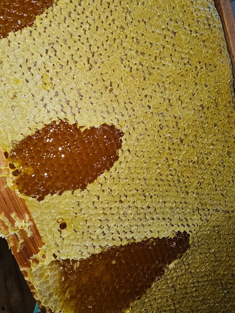 【銘木専門一枚屋のたか】百花生蜂蜜2kg、クリーム百花蜜1kgのセット