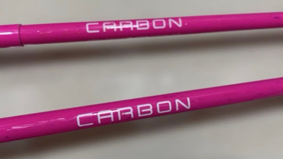 LEKI 2019-20 VENOM SL パンチガード付 カーボン 110cm