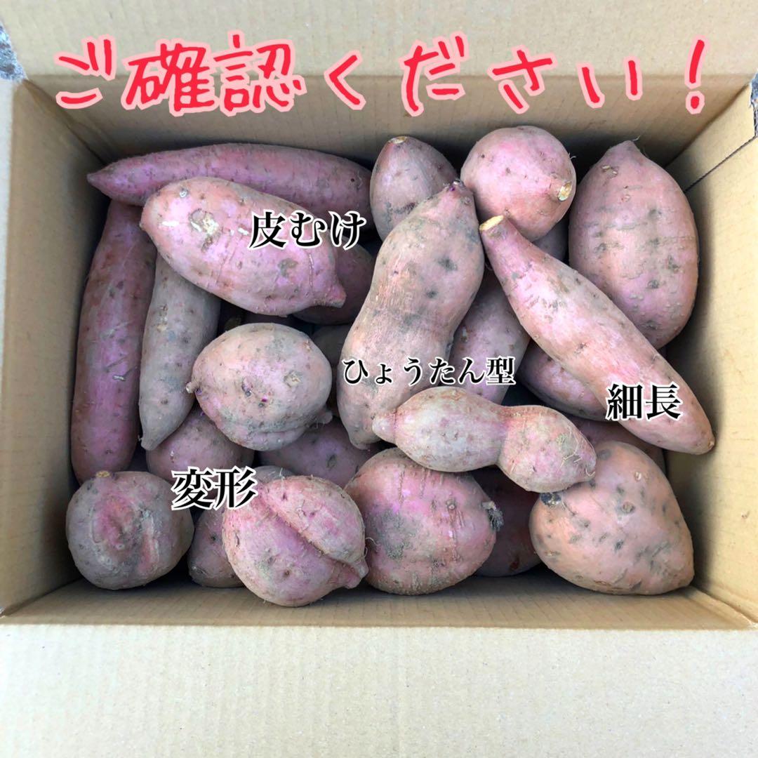 種子島　農家直送！安納地区の安納芋　混合 20キロ