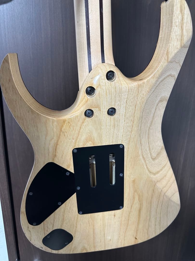 IKEBE 45th Anniversary j.custom RG8520S…