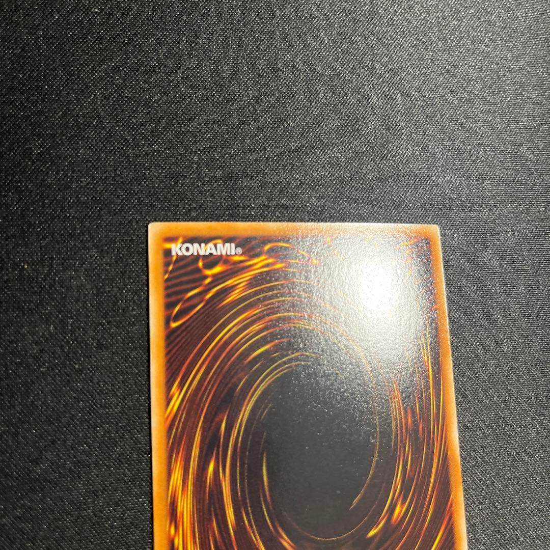 ブラックローズドラゴン ホロ 遊戯王