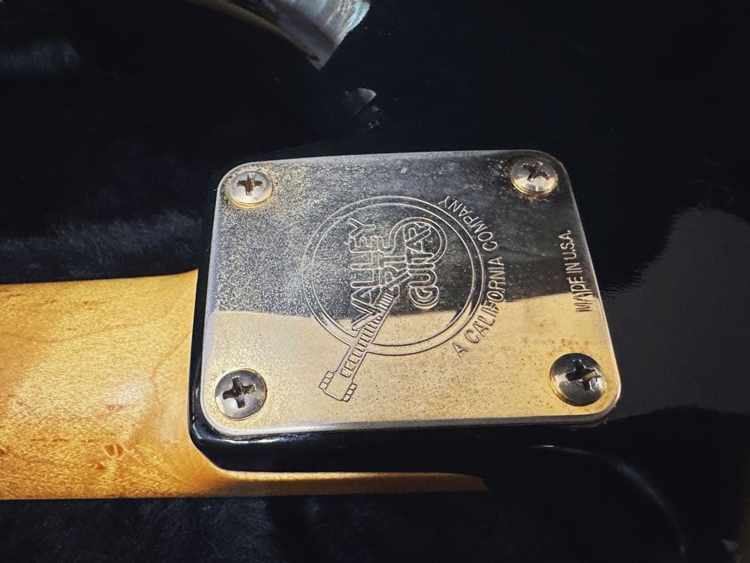 【クレヨン7色】Valley Arts Custom Pro USA