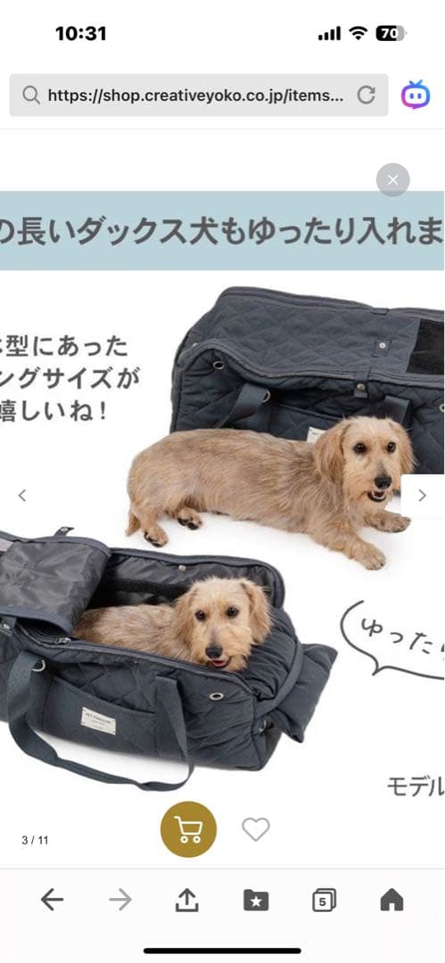 ペットキャリーバッグ　ロング