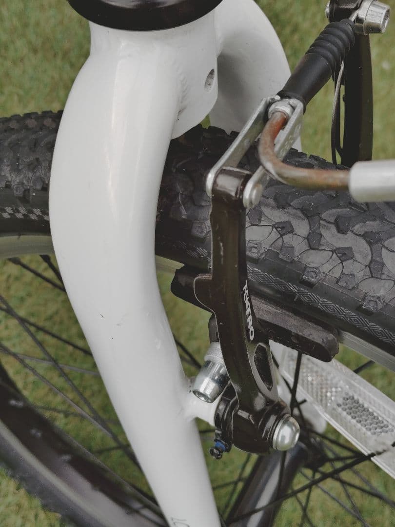 ルイガノ　J20【兵庫県　直接引渡し限定】