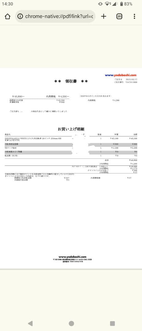 ルイガノ　J20【兵庫県　直接引渡し限定】
