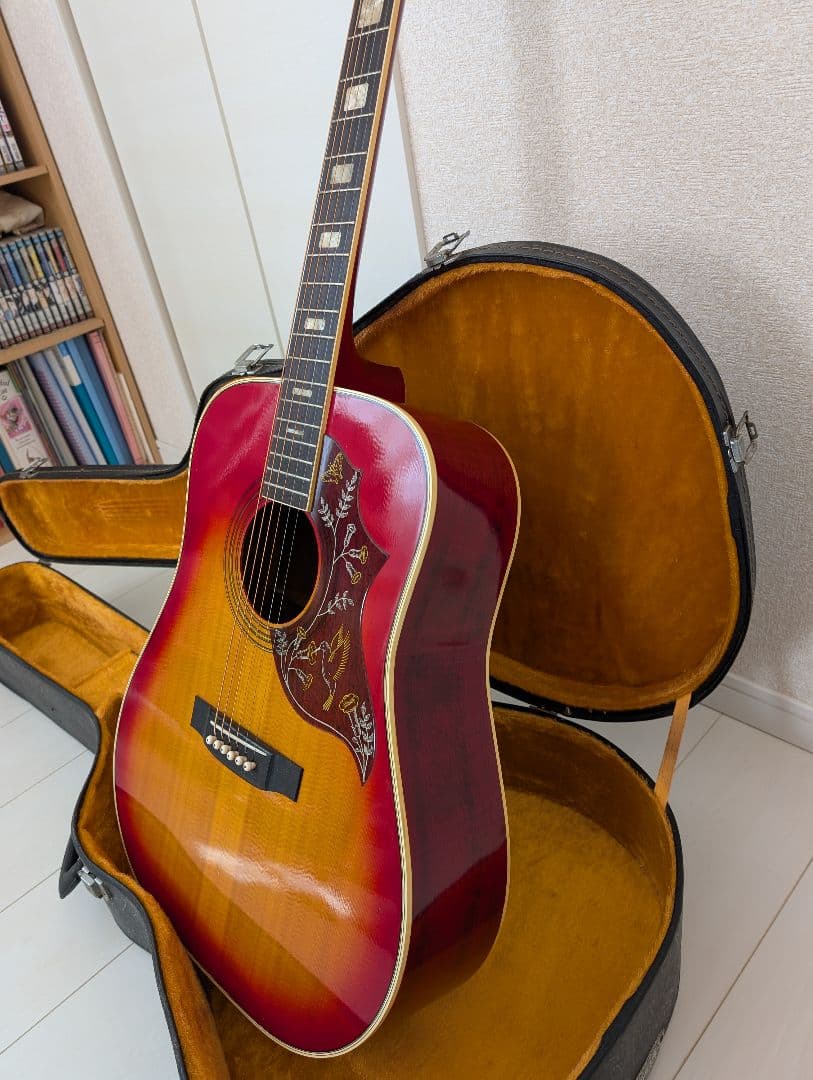 ギター SUZUKI Hummingbird FH-250 1970s