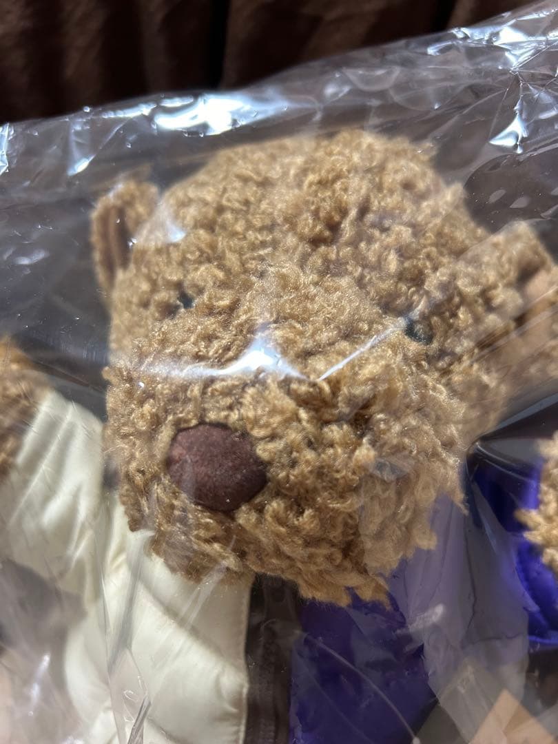 【supreme×THE NORTH FACE】Bear Tan