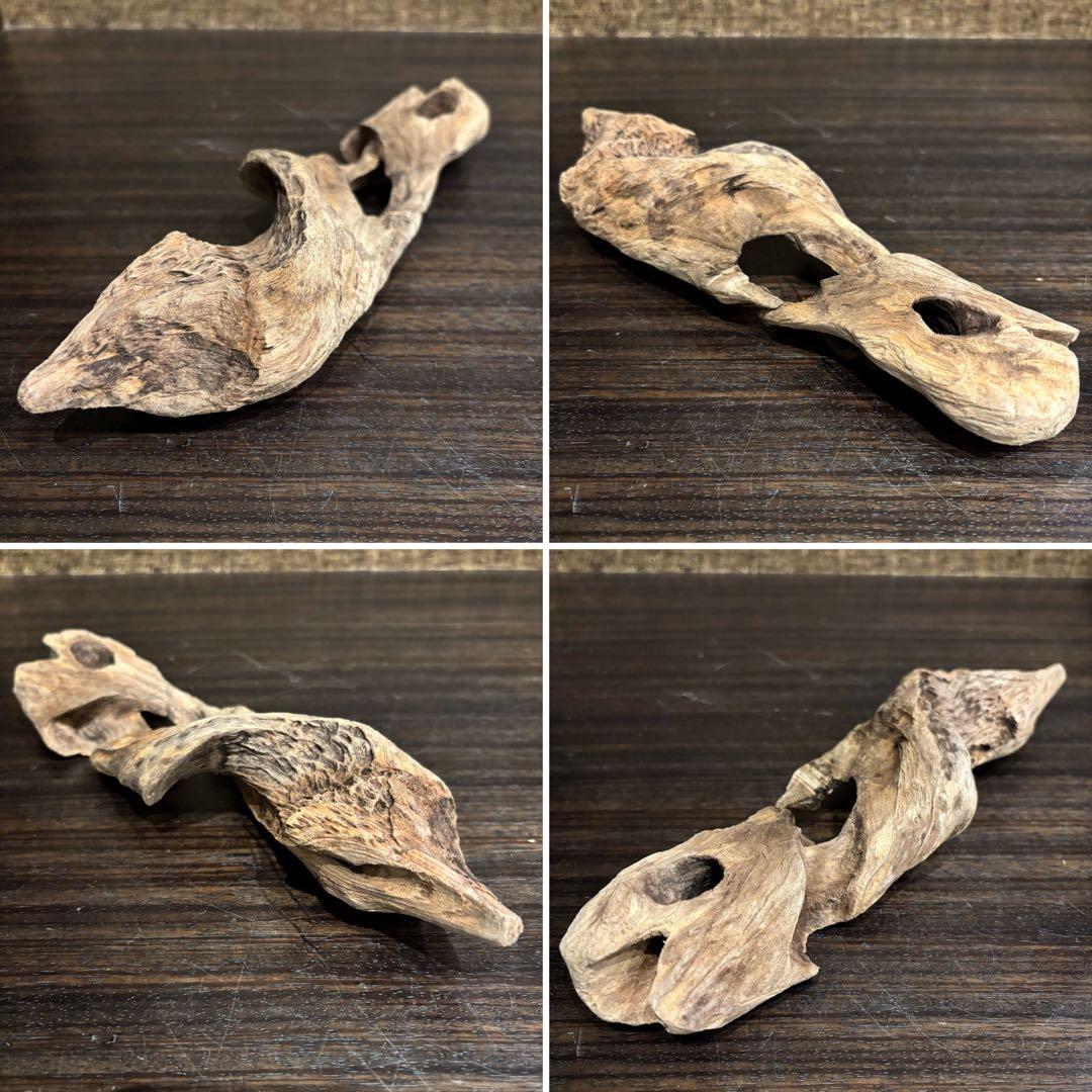 流木 優秀フォルム４本セット