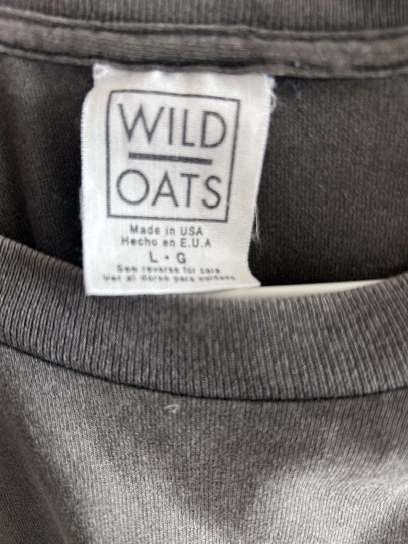 Green Day Insomniac 95 Wild Oats タグ