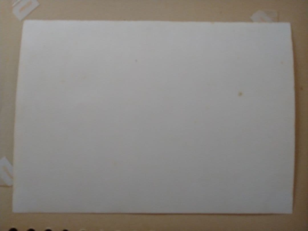 激レア！ザ・タイガース、沢田研二の生写真２枚