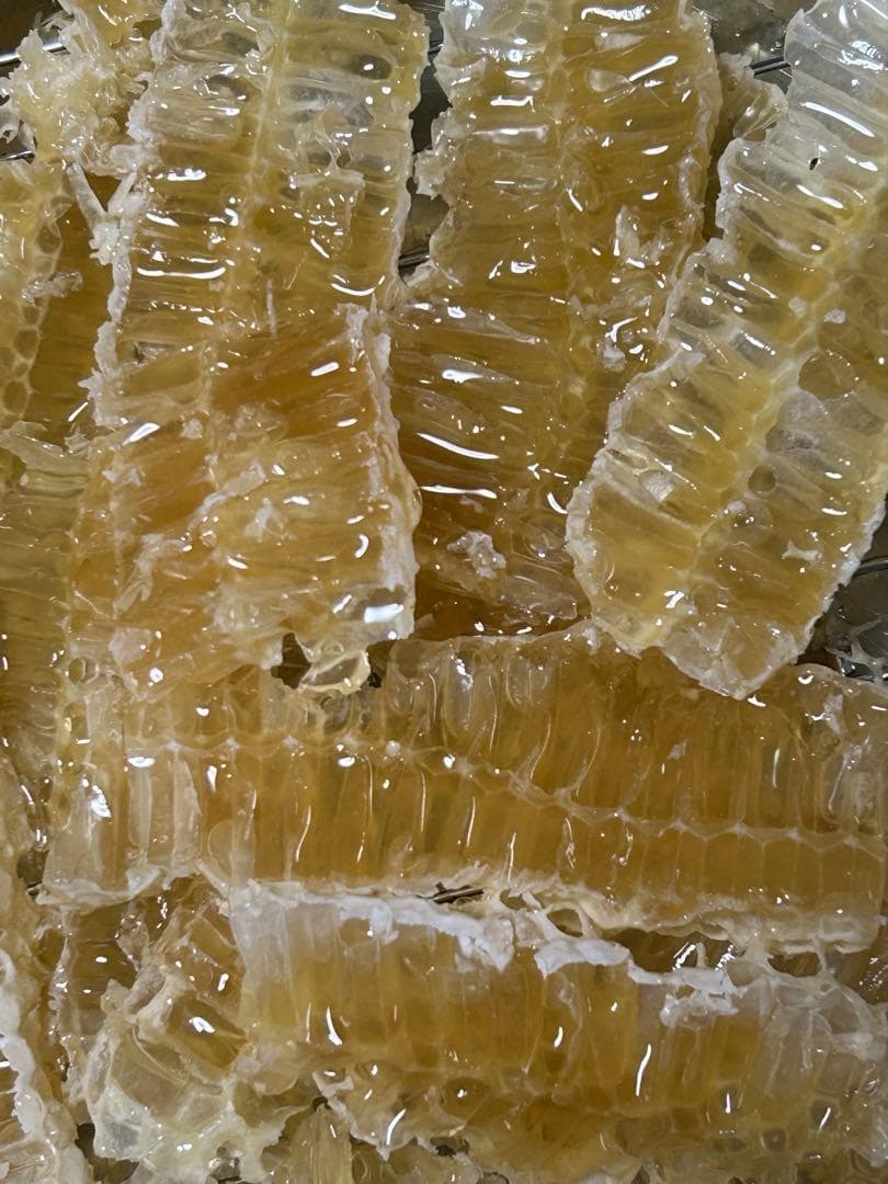 みつばち巣蜜　２パックセット➕トンガリ容器500g