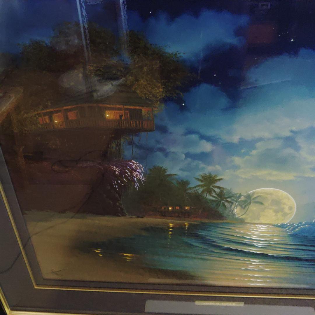 ジョン・アルホーグ / 『バニヤン・ムーン』 ダイヤモンド・手彩入り