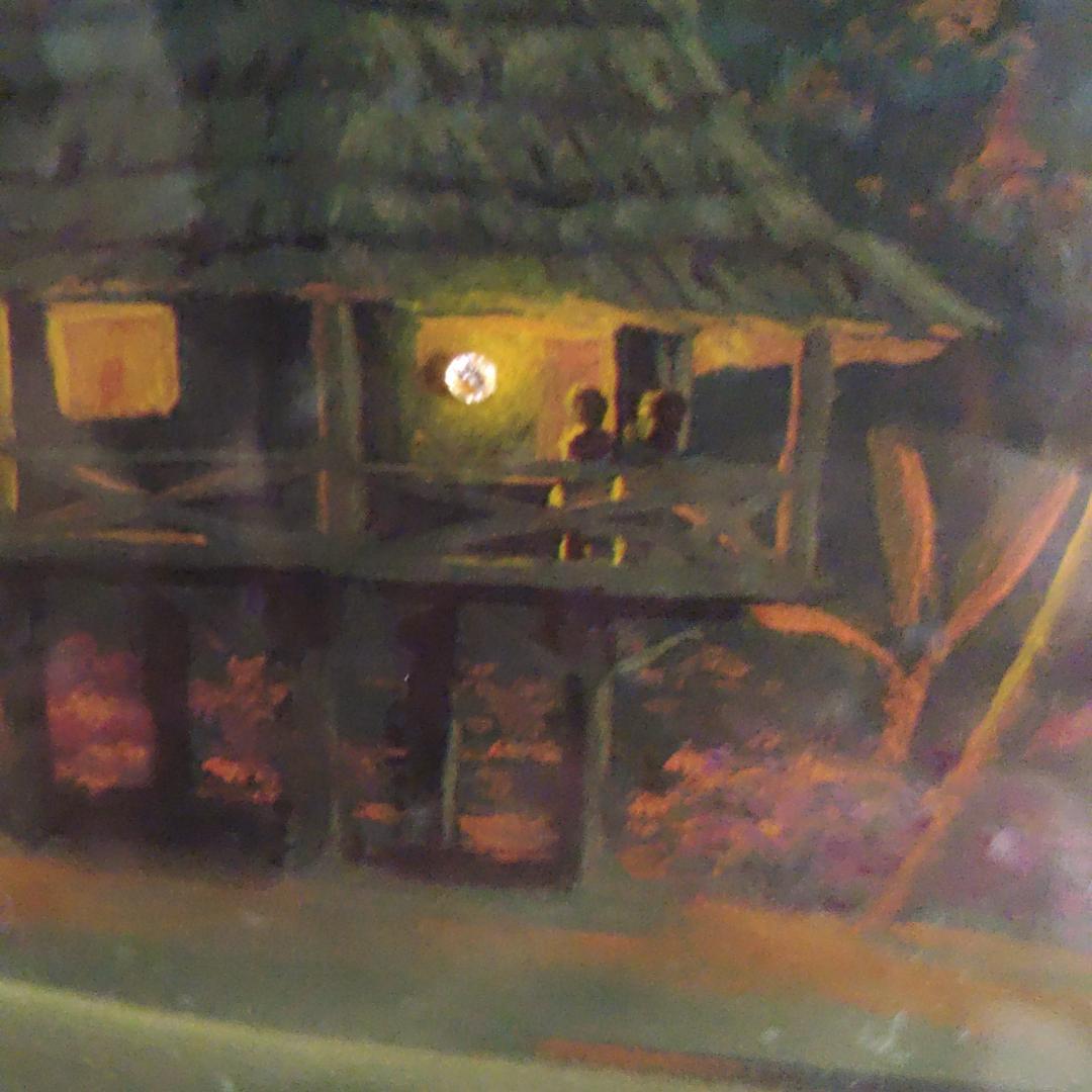 ジョン・アルホーグ / 『バニヤン・ムーン』 ダイヤモンド・手彩入り