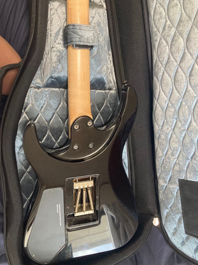 ギター Caparison Dellinger Prominence