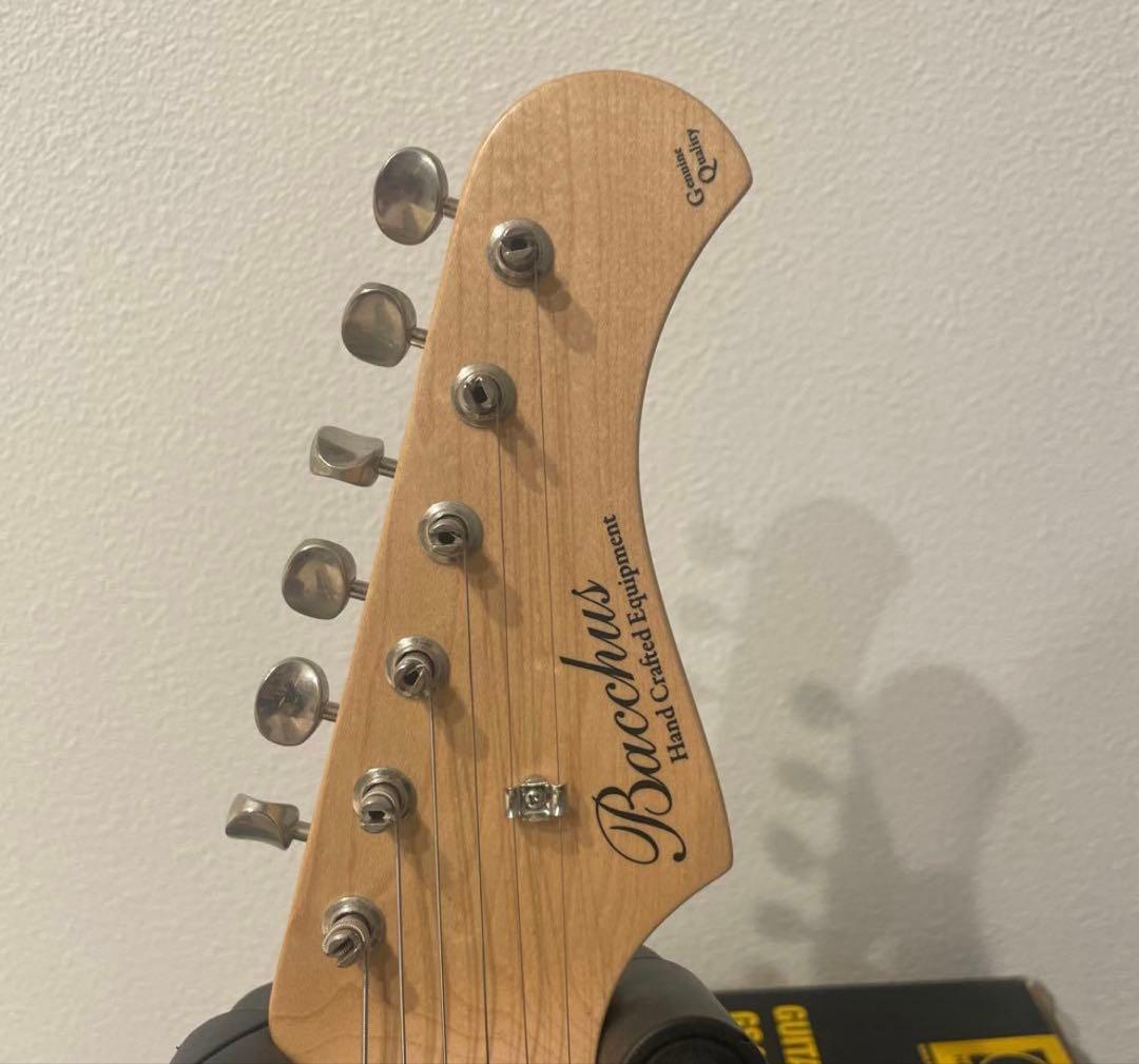 hand crafted equipment ギター